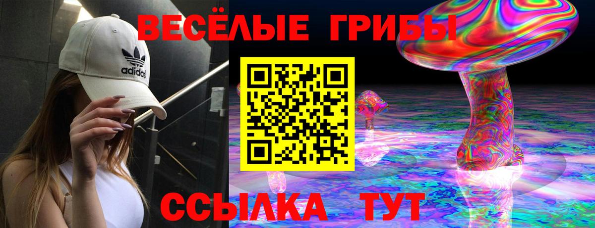 Псилоцибиновые грибы Magic Shrooms Жуковский