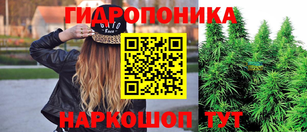 Марихуана план  Канабис план  Жуковский  Вход с VPN  Канабис сатива 
